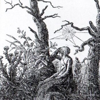 The Woman with the Cobweb