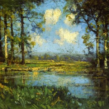 The Woodland Pool