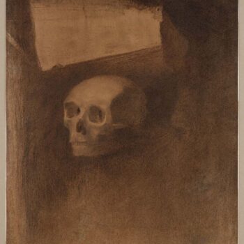 Through the Crack a Death's-Head Was Projected