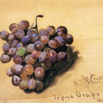 Topaz Grapes, 1870