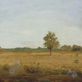 Tree in the Heath