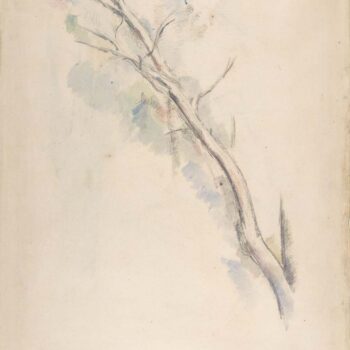 Tree (study) 01