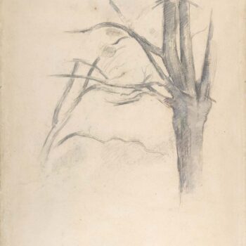 Tree (study) 02