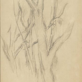 Trees (study), 1891
