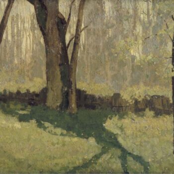 Undergrowth in Spring