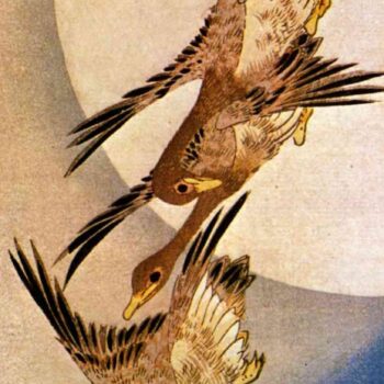 Untitled 4 by Hiroshige