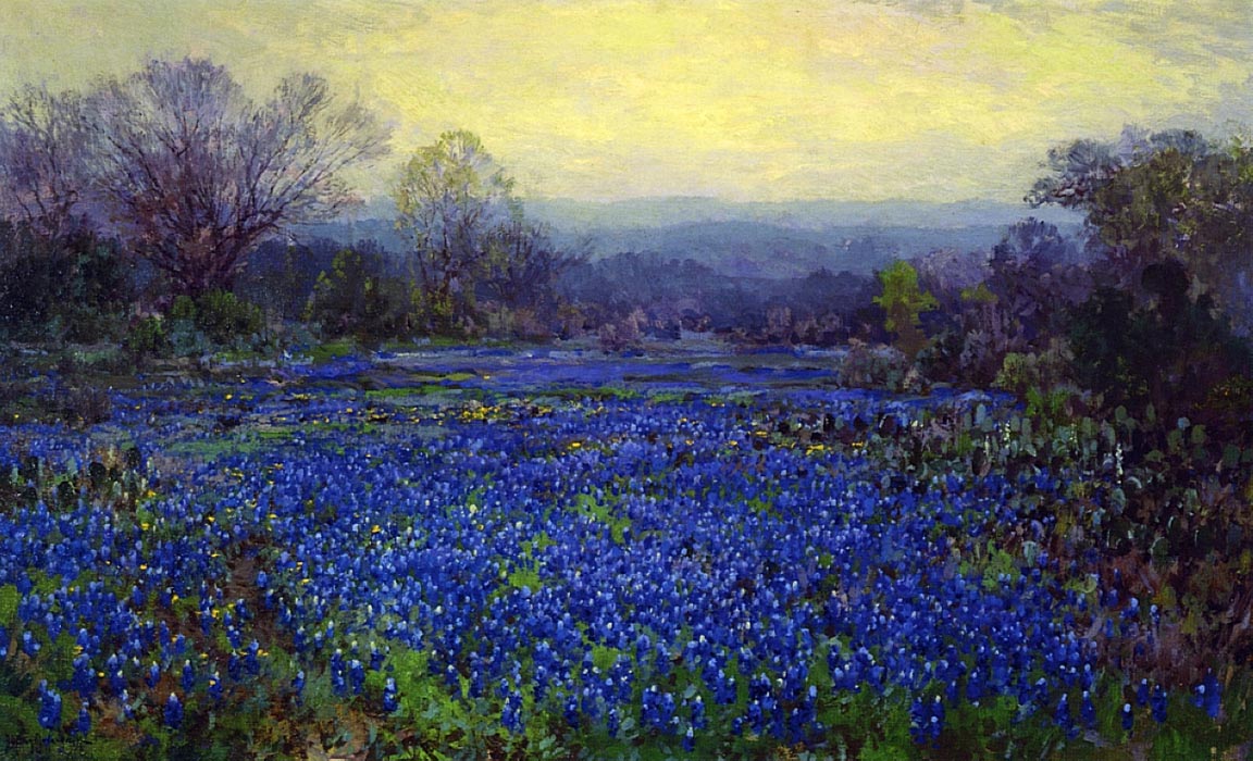 Untitled (aka Field of Bluebonnets)