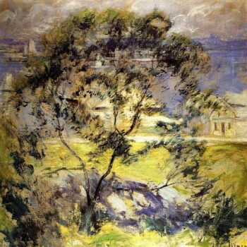 Wild Cherry Tree, 1901