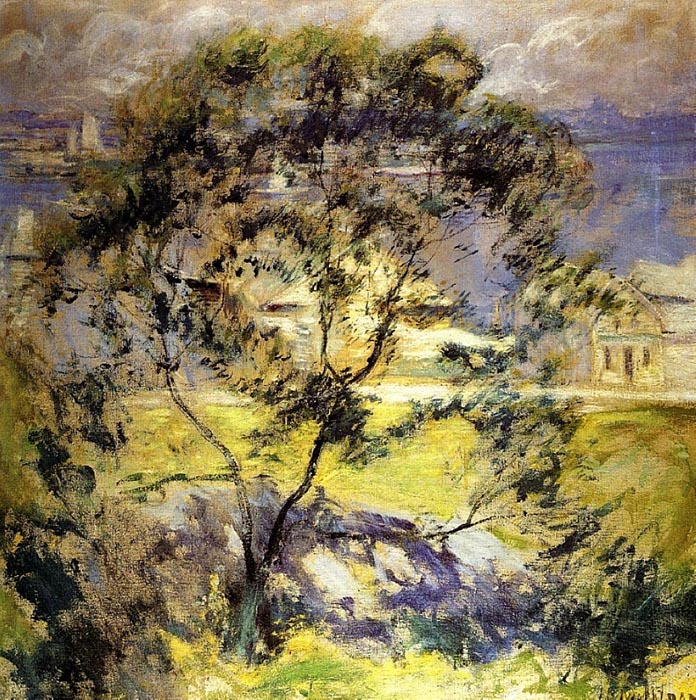 Wild Cherry Tree, 1901