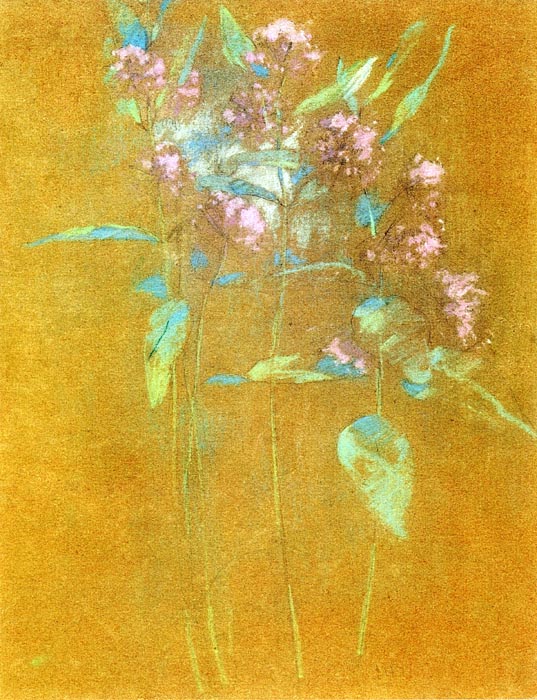 Wildflowers, 1889-91