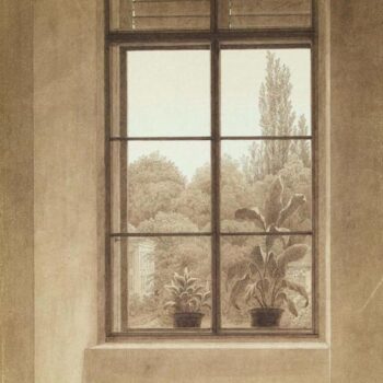 Window Looking over the Park