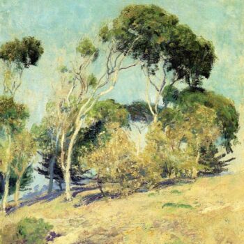 Windswept Trees, Laguna