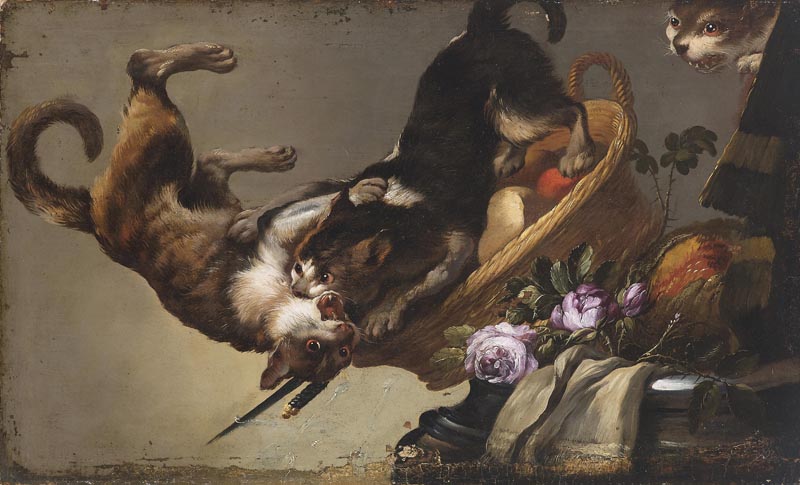 Workshop Snyders. Fight cats