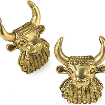 Bullhead post earrings