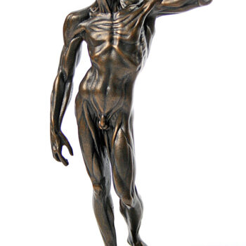 Anatomical Study of Flayed Male L'ecorche by Houdon