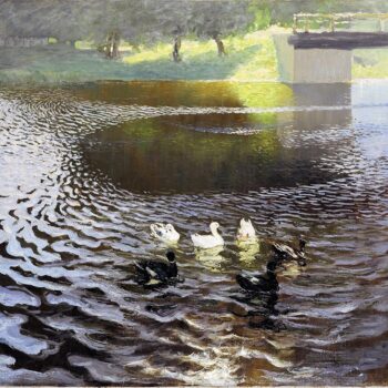 Johann Walters - Ducks