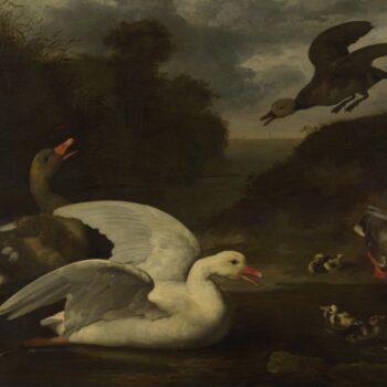 Johannes Spruyt - Geese and Ducks
