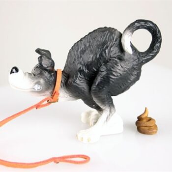 At Last, Rufus! Dog Pooping