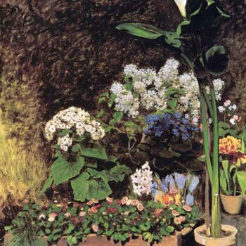 Spring Flowers