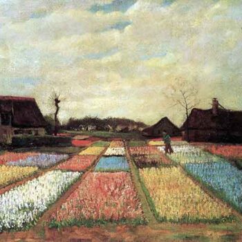 Bulb Fields