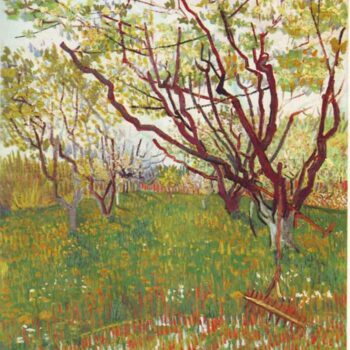 Cherry Tree by Van Gogh