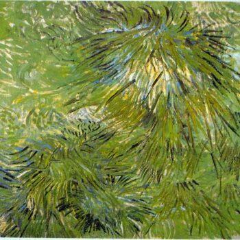 Grass