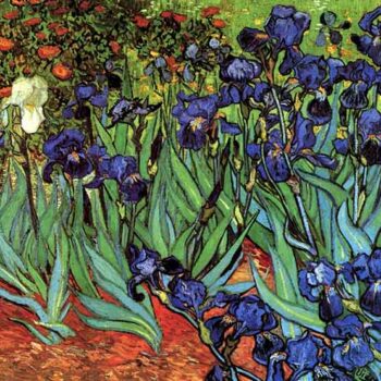 Irises