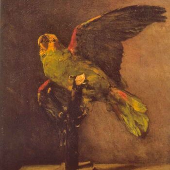 Parrot