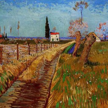 Path Through a Field with Willows