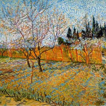 Peach Trees