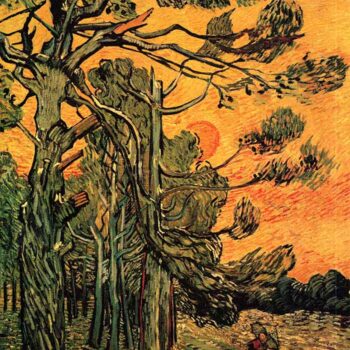 Pine Trees Against a Red Sky with Setting Sun