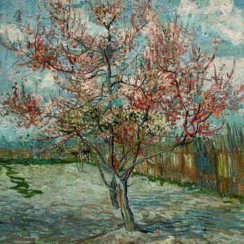Pink Peach Trees Souvenir De Mauve by Van Gogh