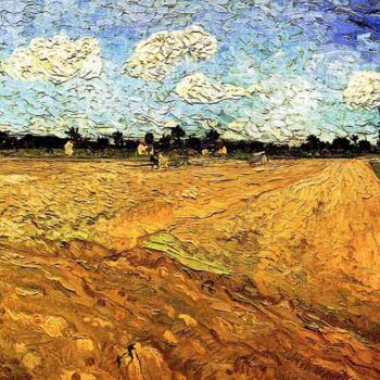 Ploughed Field
