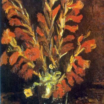 Red Gladioli