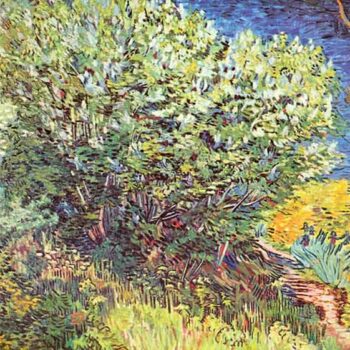 Slip Away by Van Gogh
