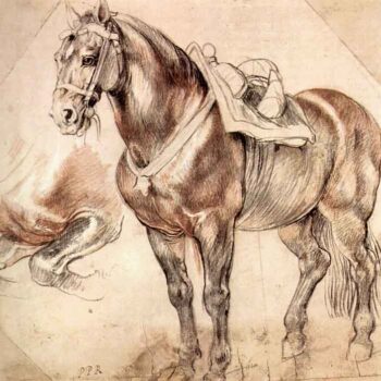 Horse Studies by Rubens