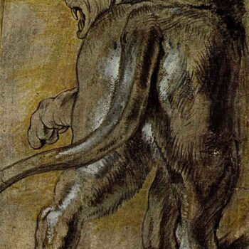 Lion by Rubens