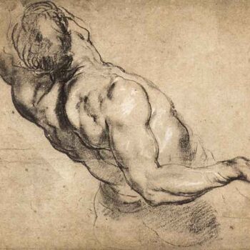 Study of Man's Torso by Rubens