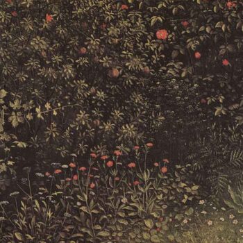 Flowering Shrubs and Plants by Jan Van Eyck