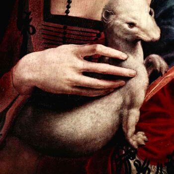 Portrait of a Lady with Ermine Detail by Da Vinci