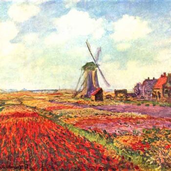 Tulips of Holland