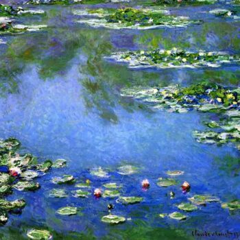 Water Lilies