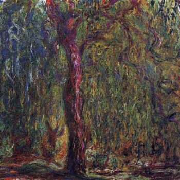 Weeping Willow by Monet