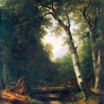 A Creek in The Woods by Asher Brown Durand