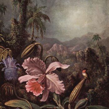 Orchids, Passion Flowers and Hummingbirds by Martin Johnson Heade