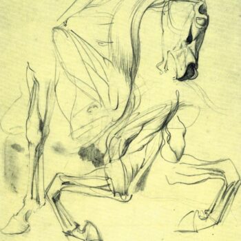 Horse Study by Franz Von Stuck
