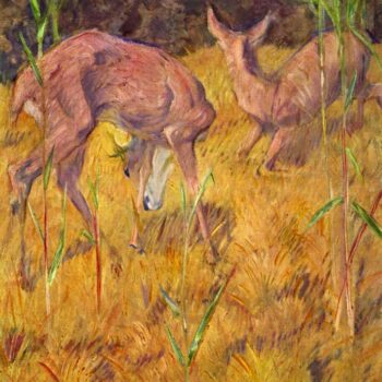 Deer in The Reed by Marc