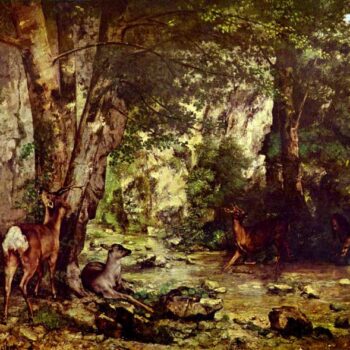Deer in The Woods by Courbet