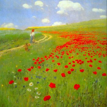 Field of Poppies by Merse
